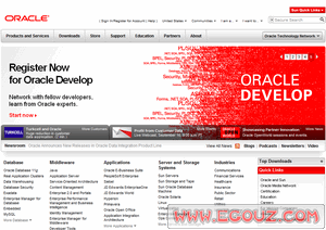 企業(yè)在線資源與軟件開發(fā)整合指南 從公司目錄到專業(yè)服務